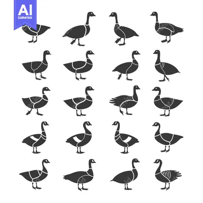Aset premium populer: Sixteen Black and White Silhouettes of Geese in Different Poses