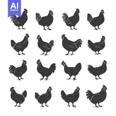 Sixteen Black Silhouettes of Chickens in Various Poses
