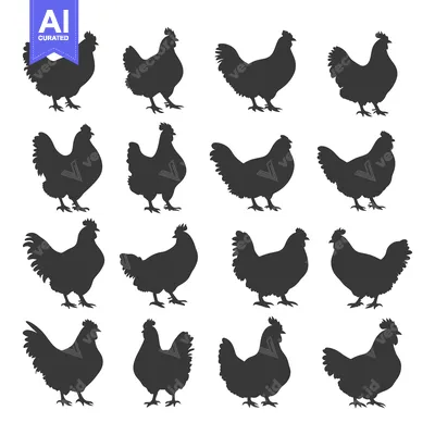 Aset desain premium: Sixteen Black Silhouettes of Chickens in Various Poses