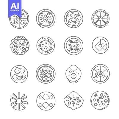 Aset premium populer: Sixteen Circular Designs with Various Patterns