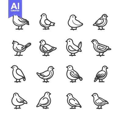 Popular premium asset: Sixteen Line Drawings of Birds in Various Poses