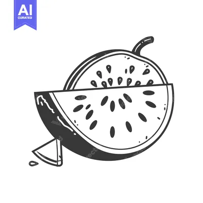 A Black and White Illustration of a Watermelon Cut in Half