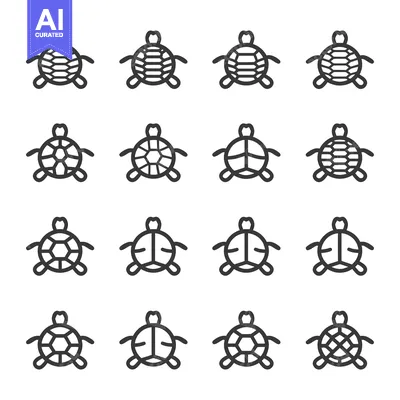 Sixteen Variations of Turtle Shell Patterns in Outline Form
