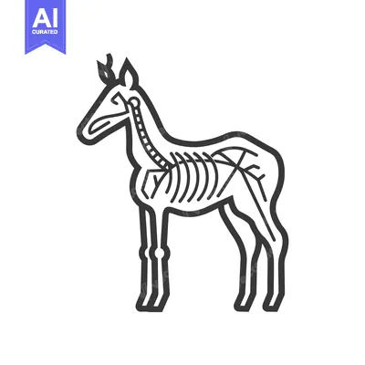 Aset premium populer: Skeletal Outline of a Horse with Visible Ribs and Spine