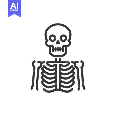 Aset desain premium: Minimalist Skeleton Icon: Anatomical Outline Illustration on White Bac