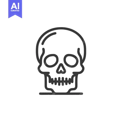 Aset premium populer: Minimalist Skull Icon: Bold Line Art on White Background