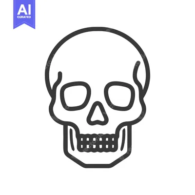 Aset desain premium: Minimalist Skull Icon: Bold Outline on White Background, Vector Illust