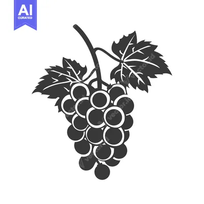 Aset desain premium: A Black and White Illustration of Grapes with Leaves