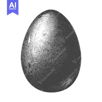 A detailed grayscale illustration presents a single egg on white backg