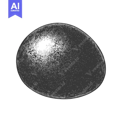 A single detailed illustration of an oval shaped object