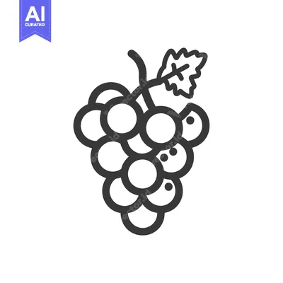 Download A Black and White Line Drawing of a Bunch of Grapes with a Leaf Vector Graphic