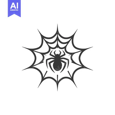 Spider in a Circular Web