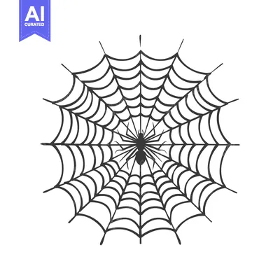 Spider in the Center of a Web
