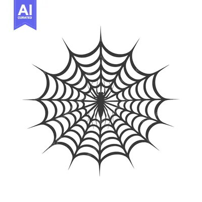 Spider in the center of a web with radial lines