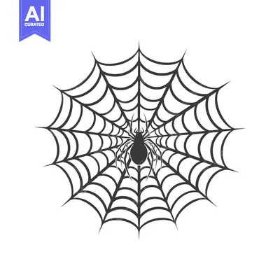 Spider Sitting in the Center of a Web