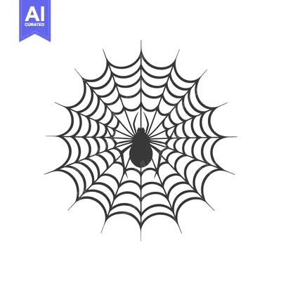 Spider Sitting in the Center of its Web