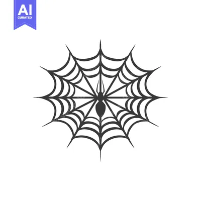 Spider Sitting in the Center of its Web