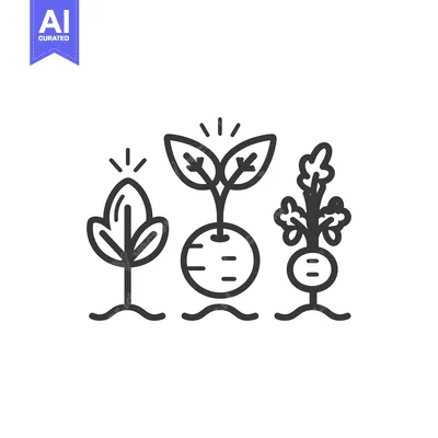 Stages of Plant Growth from Seedling to Mature Plant