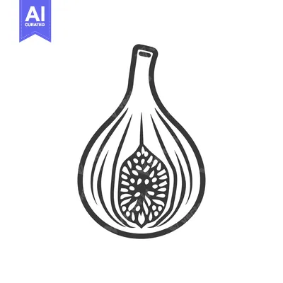 Popular premium asset: A Black and White Line Drawing of a Fig Cut in Half
