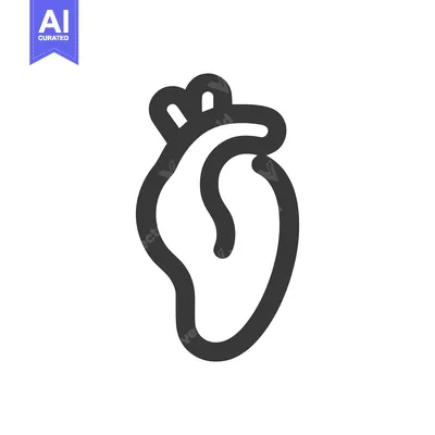 Stylized Human Heart Icon: Bold Outline, Anatomical Symbolism, Medical