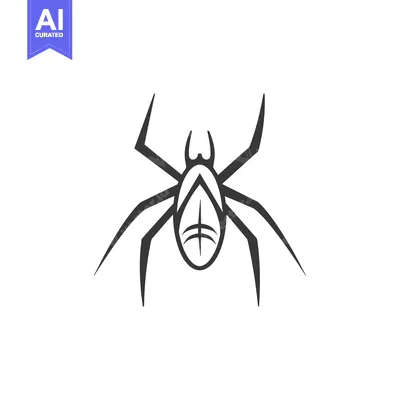 Stylized Black and White Spider Illustration