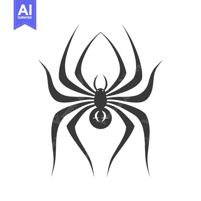 Stylized Black and White Spider Silhouette