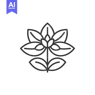 Stylized Line Drawing of a Flower with Six Petals