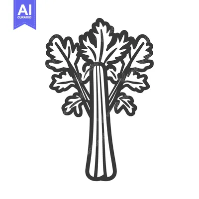 Premium design asset: A Black and White Line Drawing of a Single Celery Stalk