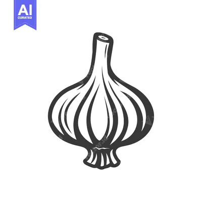 Aset premium populer: A Black and White Line Drawing of a Single Garlic Bulb