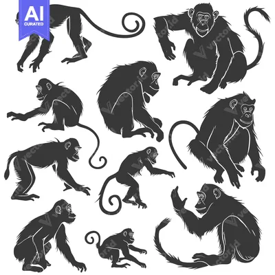 Premium design asset: Ten Detailed Black Silhouettes of Monkeys in Various Poses