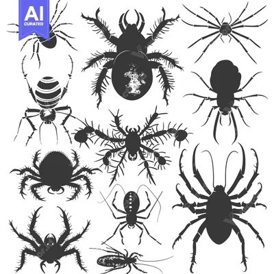 Ten Silhouettes of Different Types of Spiders