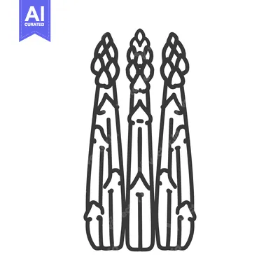 Three Asparagus Spears in a Line, Black Line Drawing