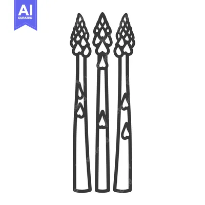 Three Asparagus Spears with Detailed Line Art