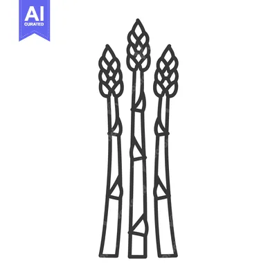 Three Asparagus Spears with Tips