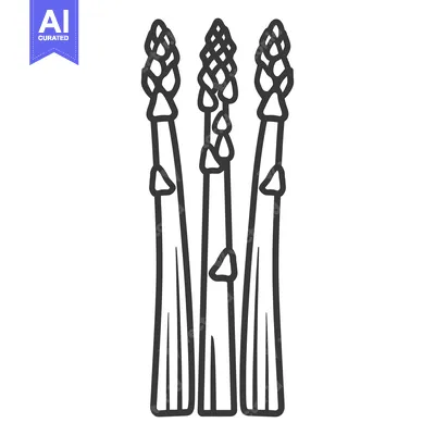 Three Asparagus Spears with Tops in Line Art Style