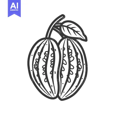 Aset premium populer: A Black and White Line Drawing of a Split Cacao Pod with Seeds