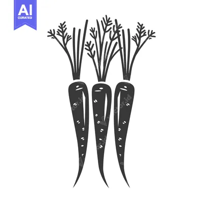 Aset premium populer: Three Black and White Carrots with Green Tops