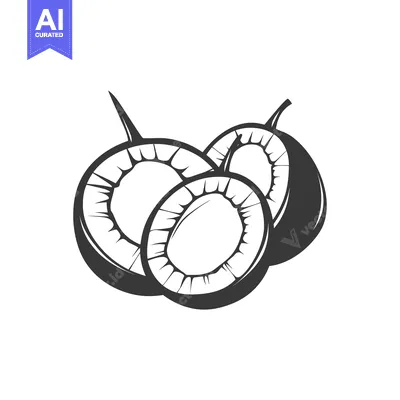 Premium design asset: Three Black and White Coconut Halves with Husks