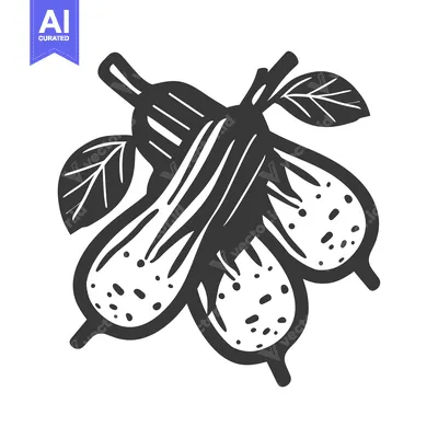Three Black and White Peanuts with Leaves