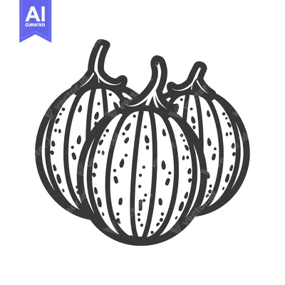 Three Black and White Pumpkins with Stems