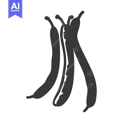 Three Black and White Silhouettes of Green Beans