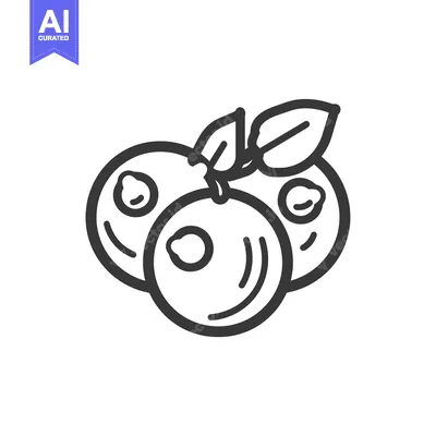 Three Blueberries with Leaf Stem Line Drawing