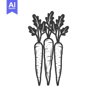 Aset premium populer: Three Carrots With Green Tops