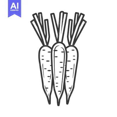 Aset desain premium: Three Carrots with Green Tops, Line Drawing