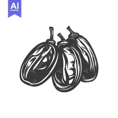 Three Dried Dates Illustration