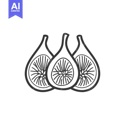 Aset premium populer: Three Figs Cut In Half With Seeds Visible