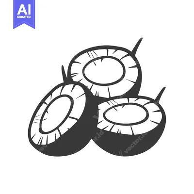 Aset desain premium: Three Half Coconut Shells, Black and White Illustration