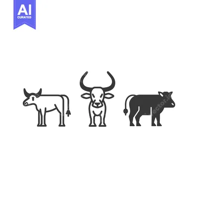 Three Line Drawings of Cattle in Different Poses