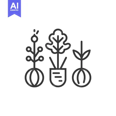 Three Line Drawings of Plants with Roots and Stems