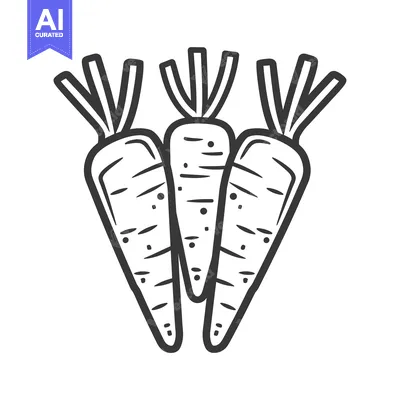 Aset desain premium: Three Line Drawn Carrots with Green Tops